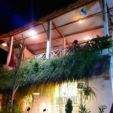 The Bodhi Tree Karimunjawa Hostel Eksteriør bilde