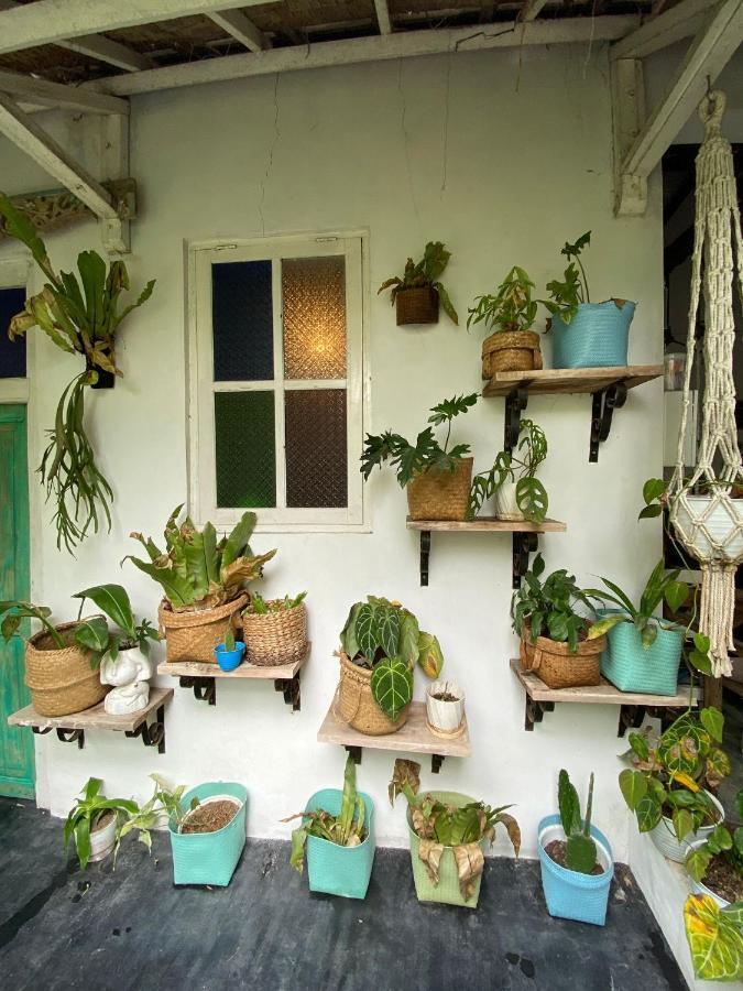 The Bodhi Tree Karimunjawa Hostel Eksteriør bilde