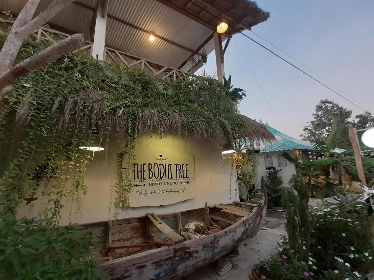 The Bodhi Tree Karimunjawa Hostel Eksteriør bilde